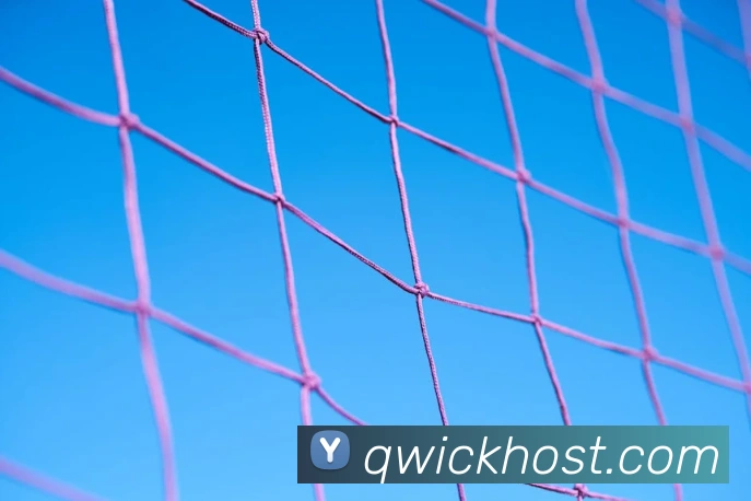 九游体育服务体系